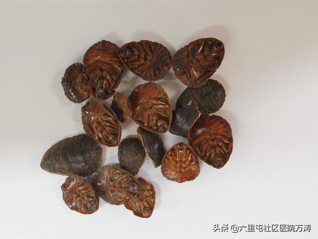 中西醫(yī)最大的區(qū)別是什么？