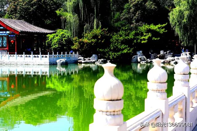 為什么感覺很多人對(duì)佳能（Canon）特別著迷佳能canon？