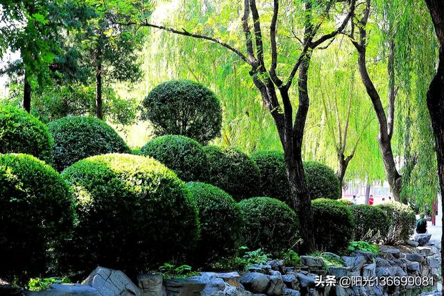 為什么感覺很多人對(duì)佳能（Canon）特別著迷佳能canon？